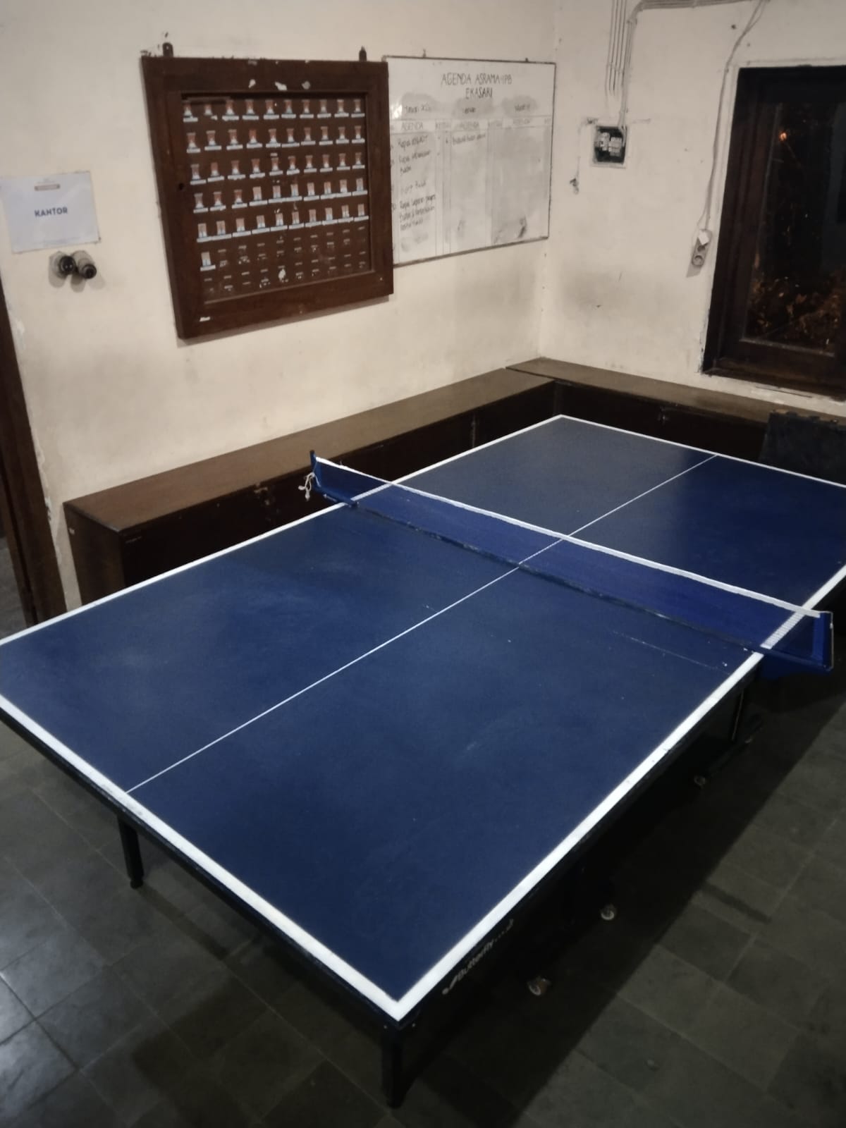 Tenis Meja